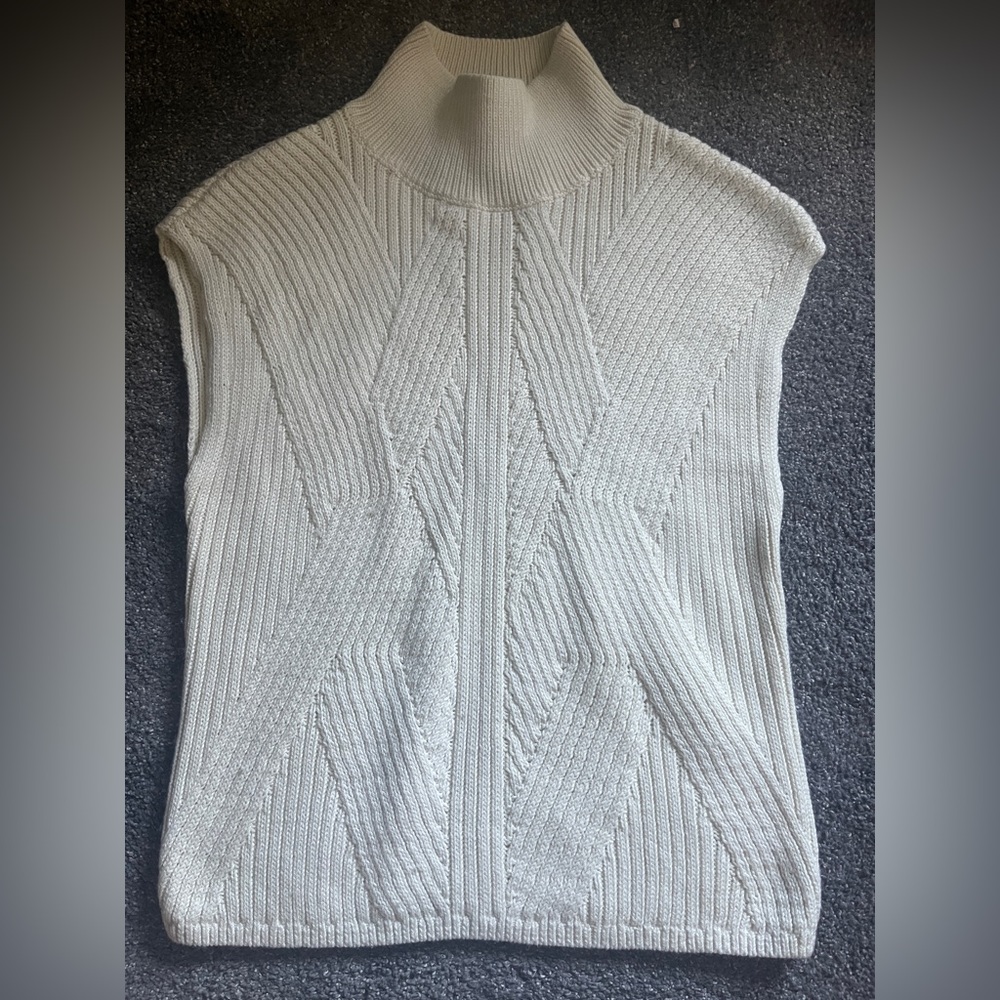 Express Mockneck Sweater